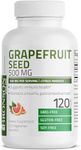 GRAPEFRUIT SEED EXTRACT 500 MG PER SERVING CITRUS PARADISI SUPPORTS IMMUNE HEALTH & HELPS MAINTAIN A HEALTHY GASTROINTESTINAL TRACT - NON-GMO, 120 VEGETARIAN CAPSULES