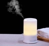 Muji Air Diffuser