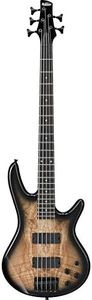 Ibanez Gio