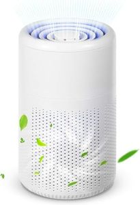 Air Purifiers for Bedroom Air Cleaner - H13 HEPA Filters, Fragrance for Better Sleep, Portable Air Purifier 20db Quiet Air Filter Eliminator for Desktop Office Living Room for Pet, Pollen, Smoke Odor