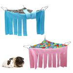 RIOUSSI Guinea Pig Hideout Hideaway Corner Peekaboo Toys Cage Accessories with Reversible Side, Random/Gray-Blue+Pink, Pack of 2