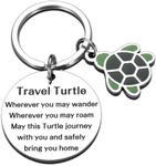 Turtle Gif