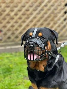 L&J Pets Uk STRONG Wire Metal muzzle Basket Dog Muzzle Rottweiler,Mastiff Golden Retriever & other (R2, Black/Black Leather)