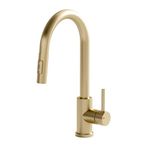 TRE Home Kitchen Faucet Kitchen Faucets with Pull Out Sprayer, Kitchen Sink Faucet, Kitchen Tap, RV Kitchen Faucet, Laundry Faucet, Bar Faucet, Kitchen Faucet Stainless Steel (Gold)