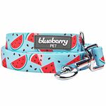 Blueberry Pet Summer Sparkle Dog Leash, Large Size, 4 ft x 1", Blue, Zesty Fruit Watermelon Print Pet Leash