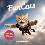 Fun Cats Cat Calendar 2025 - Large 