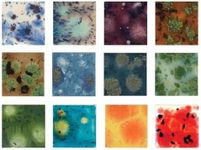 Mayco Crystalites Glaze Set 4 oz -