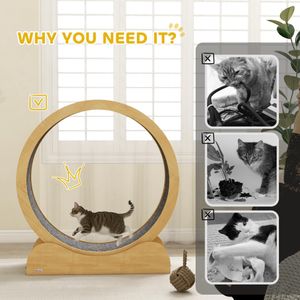 PawHut Cat Exercise Wheel – 39.4" Large Running Wheel for Indoor Cats