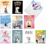 AM6112BPG-B1x10 Cat-Sent Greetings: 10 Assorted Birthday Pet Note Cards Featuring Images of Fluffy Felines Extending Birthday Wishes, with Envelopes.