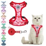 BEAUTYZOO Cat Harness and Leash Set for Walking Escape Proof, Neck Release Adjustable Harness for Kitten Puppy Small Medium Large Cats, Soft Cute Easy Control Small Cat Harness for Cats Boy and Girls