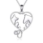 YFN Veterinary Necklace Sterling Silver Vet Techs Pendant Veterinarian Stethoscope Jewelry Gifts for Women Girls