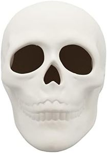 Ready to Paint Ceramic Bisque, 5 Inch Long x 4 Inch Tall Skull, Includes How to Paint Your Own Pottery Booklet
