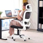 TRALT Office Chair Ergonomic Desk C