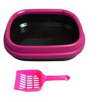 Petlogix Cat Litter Box Easy Cleaning Kitten Poop Pan (Random Colour, 50 x 33 x 20 cm)