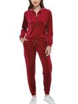 Woolicity Womens Velour Tracksuit 2 Piece Outfits for Women Long Sleeve Hooded Zip Tops Jogging Velvet Sportswear