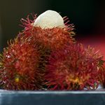 Veliyath Garden Rambutan Ceasar Plants (Red) (Nephelium Lappaceum)