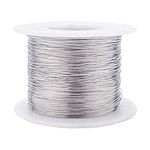 BENECREAT 28 Gauge 984FT 304 Stainless Steel Binding Wire for Jewelry Making, Strapping, Sculpture Frame, Cleaning Brushes Making and Other Crafts Project