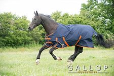 Gallop Trojan 600d Standard Neck 100g Turnout Rug 5'9" (EU 125cm)