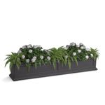 Mayne Fairfield 5ft Window Box - Graphite Grey - Durable Self Watering Resin Planter with Wall Mount Brackets (5824-GRG)