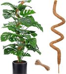 Moss Pole for Plants Monstera, 60 I