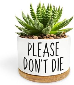 Bttwkco Please Don't Die - Cute White Succulent Pots Home Kitchen Office Decor, Funny Ceramic Small Plant Pots, Funny Planters for Indoor Plants,Succulent Gifts for Women