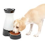 PetSafe Healthy Pet Gravity Dog and Cat Food Station, Stainless Steel Bowl, Medium, Holds 4 lb. of Dry Dog or Cat Food