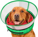 Raised Inflatable Dog Cone After Su