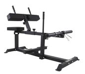 Seated Calf Raise Machine