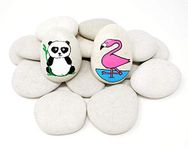 Beach Treasures Capcouriers Painting Rocks - Rocks for Painting Kindness Rocks - About 2 inches in Length - 20 Rocks