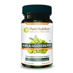 Pure Nutrition Amla Extract 1000mg. (Equivalent to 8000mg Amla Fruit Powder) Non GMO | 60 Veg Capsules