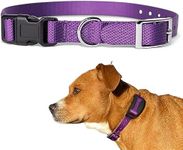 Pawsitive e-Collar Replacement Strap - Shock Collar Replacement Collar, Petsafe Replacement Collar, Sportdog Replacement Collar, Invisible Fence Collar Replacement (1", Gray) (3/4", Purple)