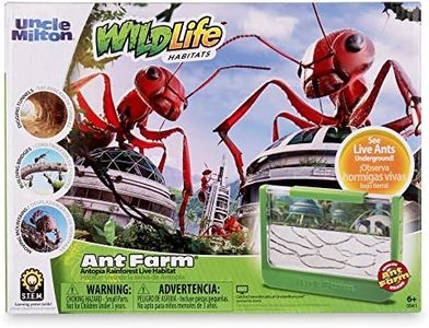 Uncle Milton Ant Farm Antopia Rainforest Ant Habitat - Observe Live Ants - STEM -Nature Learning Toy Green For 6 - 15 years