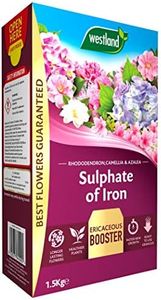 Westland 20600027 Sulphate of Iron Plant Food for Ericaceous Plants, 1.5 kg