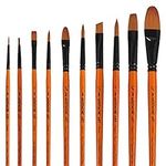 Paint Brushes Set of 10 pcs - 4 Different Shapes Art Artist Painting Brush Set for Acrylic, Watercolor, Oil Painting and Adult Face Painting