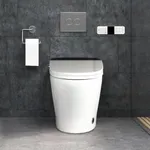 EUROTO Upgraded Luxury Dual Flush S