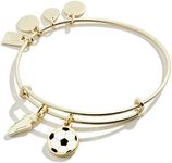 Alex and Ani Collaborations Expandable Bangle for Women, Team USA Duo Charms, Shiny Finish, 2 to 3.5 in, Expandable, Metal,