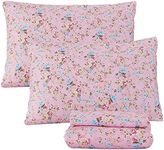 FADFAY Sheets Set Queen Elegant Rose Floral Shabby Pink Flower Bed Sheet Vintage Farmhouse 100% Cotton Ultra Soft Girls Bedding With Deep Pocket Fitted Sheet 4Pcs, Queen Size