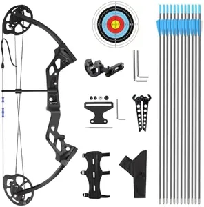 AKCHOER A208 Compound Bow and Arrow Set, 16-20 Lbs Draw Weight, Right Handed Bow for Youth Archery Beginner, Target Bow with Accessories for Teens Outdoor Sports Shooting Training (Black)