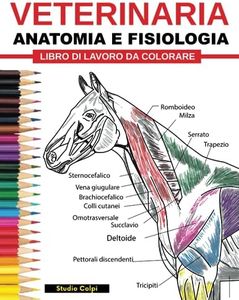 Veterinaria Libro di Lavoro da Colorare Anatomia e Fisiologia: Guida allo studio di autovalutazione, preparazione ai test e revisioni semplice ed ... di medicina veterinaria e infermieristica