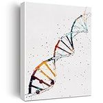 Watercolor DNA Science Art Canvas P