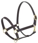 CAMELOT Basic Leather Adj Stable Halter w/Snap Horse