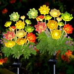 Kohlrabi Solar Garden Lights Outdoor, 2024 Upgraded Succulent Solar Lights Waterproof for Outdoor Yard Decor, Succulent Plant Garden Ornaments for Front Porch Patio Backyard, DRDCD-2