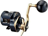 Daiwa 21 Soltiga IC 300L