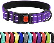 CollarDirect Reflective Dog Collar for a Small, Medium, Large Dog or Puppy with a Quick Release Buckle - Boy and Girl - Nylon Suitable for Swimming (14-18 Inch, Purple)