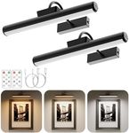 Wireless Picture Light with Remote,