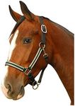 Intrepid International Breakaway Leather Crown Padded Halter, Green/Silver, Full