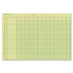 National Brand Analysis Pad, 13 Columns, Green Paper, 11 x 16.375 Inches, 50 Sheets (45613)