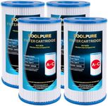 POOLPURE Replacement Filter for Typ