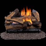 Duluth Forge DLS-18R-1 Dual Fuel Ve