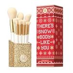 BH STUDIO PRO Makeup Brush set, The